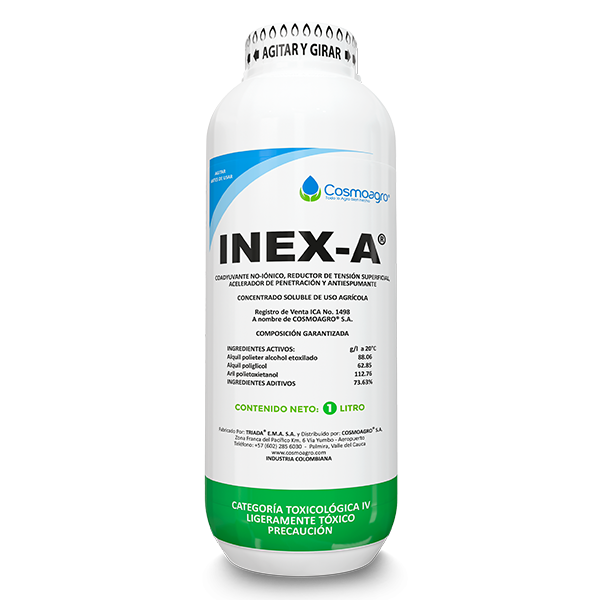 INEX-A