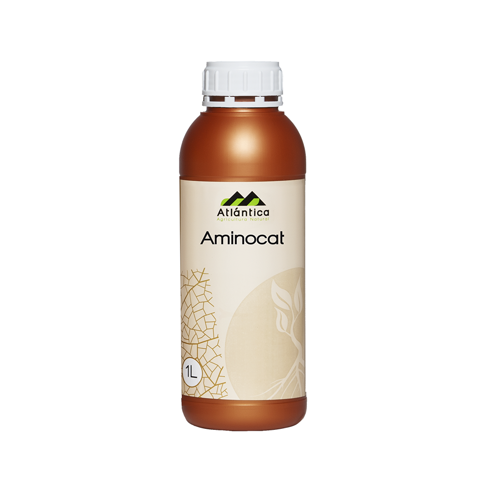 Aminocat